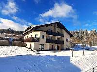 Levné ubytování Ještěd Apartmán na horách - Liberec - Horní Hanychov
