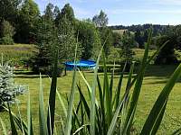 Zahrada s letním bazénkem - chata k pronájmu Horní Maxov