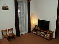 TV v obývacím pokoji - pronájem apartmánu Hrabětice