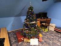Vánoční stromeček - Stádlec
