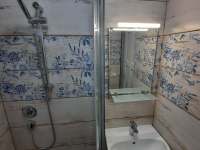 garsonka č.2 koupelna se sprchou - pronájem chalupy Chlum u Třeboně