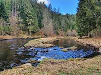 Řeka Malše u Pořešína - srub k pronájmu Kaplice - Porešín