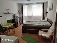 Hlavní místnost - apartmán ubytování Třeboň
