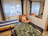 Apartmán 1 - druhá ložnice s elektrickými krbovými kamny - Český Krumlov - Nové Spolí