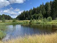 Kapelníkův rybník v Pohoří na Šumavě (15 km) - apartmán k pronájmu Černé Údolí