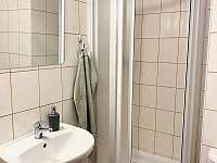 Koupelna se sprchovým koutem - pronájem apartmánu Černé Údolí