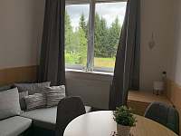 Obývací pokoj s výhledem na les - pronájem apartmánu Černé Údolí