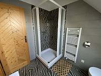 Čtyřlůžkový pokoj – koupelna s WC - Tábor - Větrovy