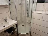 Koupelna - apartmán k pronájmu Lipno nad Vltavou