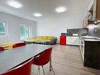 Pokoj s kuchyňským koutem včetně vybavení - apartmán ubytování Frymburk