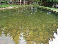 Přírodní bazének na pozemku - Nová Bystřice - Klášter