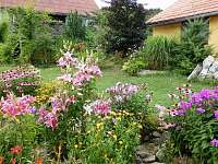 zahrada - krása rozkvetlých trvalek - pronájem chalupy Stálkov