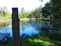 Beranský rybník uprostřed přilehlých lesů - Dunajovice u Třeboně