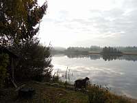Horní žišpašský rybník - chata k pronájmu Blato