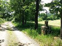 Lesní a polní cesty vhodné pro kola nebo pěší turistiku - apartmán k pronájmu Lipanovice