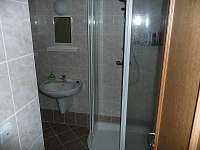 Koupelna - apartmán k pronájmu Horní Planá - Jenišov