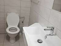 WC, umyvadlo - apartmán k pronajmutí Třeboň