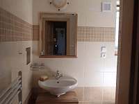 koupelna - chalupa k pronajmutí Chlum u Třeboně - Žíteč