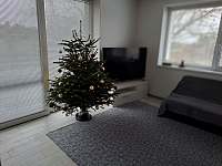 Vánoce jsou u nás se Stromečkem v ceně pobytu - Litenčice u Kroměříže