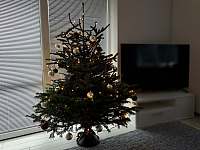 Vánoce jsou u nás se Stromečkem v ceně pobytu - Litenčice u Kroměříže