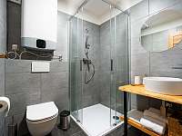 Koupelna se sprchovým koutem - ubytování Nový Šaldorf