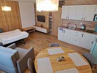 Apartmán 11 - místnost s kuchyňskou linkou a přistýlkami - ubytování Hlohovec