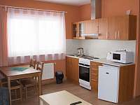 Kuchyňka v apartmánu