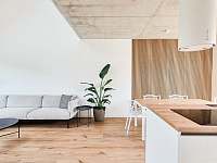 obývací pokoj s kuchyňským koutem - rekreační dům k pronájmu Mikulov