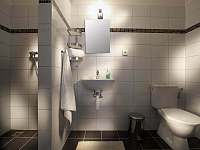 koupelna pro dvoulůžkový pokoj - ubytování Valtice
