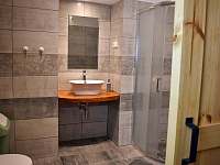 Koupelna s wc - apartmán k pronájmu Lukov