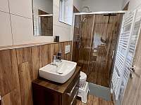 Koupelna - Apartmán 1 - ubytování Moravany