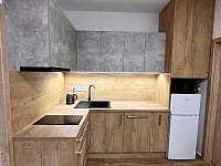 Kuchyně - Apartmán 1