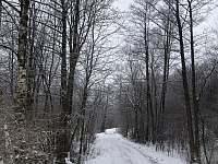 Cesta zimní k chatě 100m od hlavní cesty - Lopeník