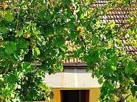 Domek na vinohradech - rekreační dům - 33 Hlohovec