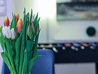 Apartmán v přízemí dekorace a tulipány - pronájem Mikulov