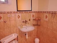 Koupelna, WC v přízemí vedle dvoulůžkového pokoje - rekreační dům k pronájmu Milovice u Mikulova