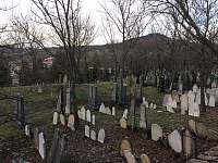 jedním z dokladů bohaté židovské historie v Mikulově je židovský hřbitov - Horní Věstonice
