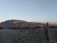 zimní procházka vinohrady pod Pálavou - Horní Věstonice