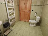Pokoj číslo 1, sociální zařízení, WC a sprchový kout, bezbariérový přístup - Strachotín