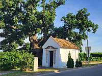 kaple panny Marie s památkově chráněným dubem - Týnec