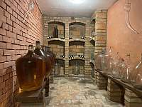 Vinný sklep - chata ubytování Dolní Bojanovice - 9