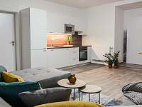 Apartmán č. 3 obývací prostor s kuchyní - 