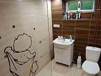 Koupelna / WC - chata ubytování Dolní Rokytnice