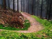Trutnov trails - Velké Svatoňovice - Markoušovice
