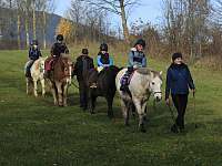 Široká nabídka agroturistiky a aktivit s koňmi - Mladé Buky