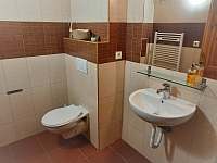 koupelna + toaleta - pronájem apartmánu Černý Důl