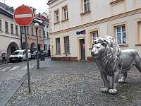 Socha lva v Bulharské ulici v Trutnově. Krasavec, že? - Prostřední Staré Buky