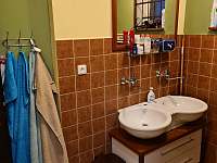 Koupelna - pronájem chaty Harrachov
