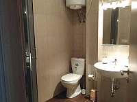 Koupelna se sprchovým koutem č.1 - apartmán ubytování Vejprty