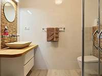 Hnědý pokoj ,koupelna - Karlovy Vary - Dvory